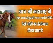 Indian Cow u0026 Horse Lovers