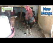 Sanjay Poultry u0026 Pet Farming