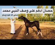 حسان الجهني Horse Lover