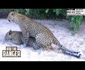 Rob The Ranger Wildlife Videos