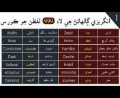 English in Sindhi