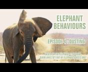 HERD Elephant Orphanage South Africa