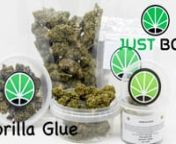 JustBob präsentiert die beste legale Cannabis-Genetik des Indica-Typs mit einem Gehalt von mehr als 22% CBD, der von Liebhabern des Sektors wegen seiner sehr harzigen Knospen und seines weichen und einhüllenden Geschmacks sehr geschätzt wird.nnEntdecken Sie es im Shop: https://www.justbob.de/produkt/gorilla-glue/nnKurze EinführungnnAls eine Art Cannabislicht zeigt es eine hellgrüne Farbe und orangefarbene Stempel. Die Knospen sind durchschnittlich groß, voluminös und sehr harzig.nnInstagr