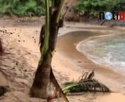 Video afectaciones causadas por efectos de mar de fondo en la playa nudista de Zipolite, ubicada en el municipio de San Pedro Pochutla, estado de Oaxaca, en México.