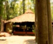 Short promo for Kanha Jungle Lodge, a luxury resort located in the heart of Kanha National Park, Madhya Pradesh.