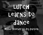 Lurch learns to dance is an exercise in editing a short video clip into a full length song.