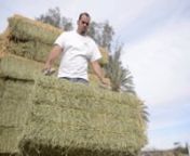 Peter Carrillo&#39;s family operates a small hay hauling outfit in Southern California. Although they enjoy the work, new government regulations could be forcing them and many others to move thier business out of state. This could be the first in a series of chain reactions that would be devastating to the state economy. This short piece documents the end of an era, the close of the
