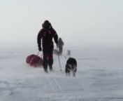 Den 28. mars i fjor la fire menn ut på en 65 dagers ekspedisjon i Otto Sverdrups fotspor. Tobias Thorleifsson fra Norge, John Huston fra USA, Hugh Dale-Harris fra Canada og Kyle O&#39;Donoghue fra Sør-Afrika gikk med én trekkhund hver over 1000 kilometer langs Ellesmereøya i arktisk Canada. Området er ett av de mest avsidesliggende, villeste og mest naturskjønne steder i Arktis, men er det også ett av de områdene i verden som er hardest rammet av klimaendringer, noe New Land2013-ekspedisjone