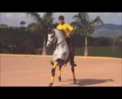Incrível Cavalo que dança musica nova da Ivete Sangalo e Shakira!! 640x480 from ivete sangalo