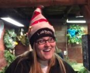 Amy Hild wearing the Dancing Hat at the Christmas Wreath Making - Carlson Tree Farm, Hampton, IA
