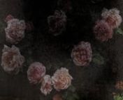 22.39 min., S-8, 4:3, b&amp;wnA film by Pathompon Mont TesprateepnnEndless, Nameless is a hand-processed Super 8 film, shot in the private garden of a Thai army officer. The film reconstructs the filmmaker’s memories about groups of conscripts who worked in his father&#39;s garden. The film was created as a self-hypnosis to reinvestigate his existence.nn...nnWhispering sounds float along slight breezenFlying worms dancing with the windnLeisurely than the sound of birds and insectsnMeanings distort