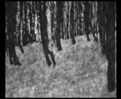 The atmosphere and the scenes of this video are free inspired by two Freud clinical cases: the soo called ‘Little Hans’ and ‘The wolf man’.The not linear narrative tries to trace the stream of consciousness of a neurotic patience , whose disease goes back to childhood trauma during a competition between little boys who wants to mesure their manhood pissing in the snow, while the patience pissed on his foot. nnThe title‘Sarà stato’ (Will have been) indicates that things have been d