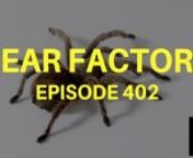 http://www.WeCloseNotes.comnEpisode 402nnThis episode is all about the fear factor. I don’t know about many of you, but many of you may remember the show that Joe Rogan originally hosted called Fear Factor. The show where you’ve got to overcome your obstacles and overcome your fears. Jumping out of plane, crawling to snakes, eating some petrified penis. Joe Rogan hosted it back in the day. You’ve got to do all these things to overcome your three fears. It was always something disgusting or