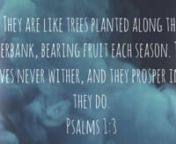 Reading of psalm 1nPinchofprayer.comnn3 minutes of peace and calm for you today. u2029Close your eyes and allow me to read the psalm to you whilst you breathe it in. u2029u2029J xxxu2029u2029#biblereading #bible #jesus #read #reading #spokenword #spoken #asmr #calm #anxiety #peace #God #christian #memory #memoryverse #verse #encouragement #accent #british #english #voice #voiceartist #peace #calmu2029nnnCreated &amp; Narrated by J @ pinch of prayer nUsing iMovienAny queries please email at Pinch