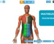 VMV3D Demo Anatomia 3D from vmv