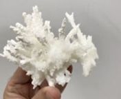 HM180NRnCoralloidal growth of Calcite, very aerial and aesthetic, lustrous, and snow-white. The specimen is from a locality little known to collectors and comes to us via the collection of Miguel David Martínez (nº 181) whose label we will send to the buyer.nCabezo de San Ginés, El Estrecho de San Ginés, Cartagena, Comarca Campo de Cartagena, Murcia, Region of MurciaSpain (2004)nnSpecimen size: 11.2 × 8.3 × 5.7 cm = 4.41” × 3.27” × 2.24”