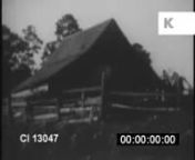 1940s African American Life in Rural South from the Kinolibrary Archive Film Collections. To order the clip clean and high res for your commercial project or to find out more visit http://www.kinolibrary.com. Clip ref CI13047a.nSubscribe for more high quality, rare and inspiring clips from our extensive archive of footage.nnGeorgia, Southern America, South Eastern, Southern States. Rural, countryside. Shacks, ramshackle houses. Black, African American man washing his face in bowl. Little black b