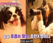 [Vietsub][TVN] It's Okay To Go A Little Crazy - episode 3 (Hyomin cut) from tvn crazy