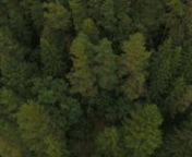 Free drone stock footage of quadcopter easily flying above the green and dense forest of pine trees, oaks and firs. The splendor of the nature is uncovered with gentle and calm pathway from the bird’s eye. Here is a chance to feel the naivety of human being and the beauty in which he lives .nnDOWNLOAD LINK: http://unripecontent.com/2017/10/23/free-drone-stock-footage-nature-forest/nnDimensions: 1920 x 1080nVideo codec: H.264nColor profile: HD (1-1-1)nDuration: 00:16nFPS: 50