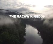 MACAW KINGDOM - (wildlife, science - 52&#39; HD, 2018)nAfter years of preparation, zoologist George Olah finally got what he wanted. A special permission from the government of Peru. The 50+ page document gave him access to the Holy Grail of parrot researchers: the Candamo Basin, in the Peruvian Amazon. A place where wildlife exists without any human disturbance since the beginning of times. Surrounded by the foothills of the Andes, the Candamo Basin hosts one of the very few uninhabited tropical ra