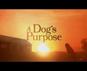 “A Dog’s Purpose” is a delightful story of a devoted dog (voiced by Josh Gad) who starts out as a puppy named Bailey and continues his journey by returning in a different dog’s body to multiple owners. Through the years he helps each owner find love and laughter in life, while discovering his own canine purpose as well. Dennis Quaid, Peggy Lipton also star.nnThe PG family-friendly story is filled with adorable puppies, funny moments between a dog and cat, humorous scenes with owners, wit