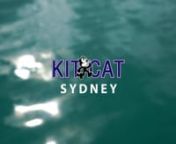 Kitcat Catamaran from kitcat