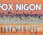 La mer, de Charles Trenet. Une reprise en concert live par Fox Nigon au New Orleans club de Platja d&#39;Aro.