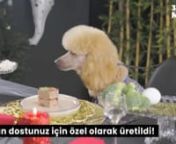 Barf Tr'nin yeni ürünü - Poodle(3 Katlı Mama) from barf