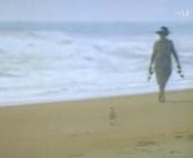 Unelmien Rivierat - Daytona Beach.nnDaytona Beach: Floridan auringon alla olevasta rannikosta tuli pyhäkkö sille Amerikalle, joka kieltäytyy hiljentämästä vauhtia. Siellä myös Steve McQueen ajeli Mustangia vuoden 1968 elokuvassa Bullitt.n nAurinkolasien takaa poseeraavat filmitähdet, kyttäväät paparazzit, lihaksikkaat surffaripojat, kuvankauniit mallitytöt ja luksushotellit... Viisiosaisen ranskalaisen dokumenttisarjan päätösjakso kertoo 1960-luvun legendaarisesta Daytona Beach r