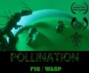 POLLINATION: FIG/WASPnnPOLLINATION, by Halo Starling and Eppchez Yo-Sí Yes, is a cheeky and smoldering musical depiction of plant and insect erotic collaboration, made by video artist and puppeteer. We are inspired by cross species sexual symbiosis to think ever more expansively about what can be a turn on.nnDirected by Halo StarlingnWritten by Eppchez Yo-Sí YesnnCASTnTopsy Pendejo as Jaw WaspnSlug Lord as Wing WaspnnCREWnDirector of Photography: Mad BishopnAssistant Director: Kathryn FoleynGa