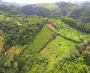 1280_aerial-footage-above-mexican-jungle-ERYU43Y_opt.mp4 from eryu