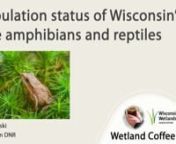 Join conservation biologist Rori Paloski to learn about the current population status of Wisconsin’s endangered and threatened herptiles most frequently associated with wetlands: Blanchard’s cricket frog, queensnake, eastern massasauga rattlesnake, western ribbonsnake, eastern ribbonsnake, and wood turtle. We will focus on Wisconsin’s wetland herps and their status in the state, looking at each species individually and covering their basic biology, population status, and current conservati