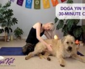 Join Kat, Willow &amp; Indi for a 30-minute Doga Yin Yoga class. nnSuggested Props:n•tA yoga mat &amp; blocknnPreparing for class: nn• Make a space with enough room around your yoga mat to spread out. n• This video does not contain a soundtrack. Put on your favourite relaxation music.n• Put your phone on flight mode or &#39;off’ &amp; let people know not to disturb you.n• Remember to work within your own capabilities, stop if something hurts and manage any injuries. n• Remember to rela