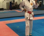 A detailed demonstration and explanation of the movements of the Kata.