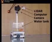 A goldfish has successfully driven a robotic car, claims new research from Israel&#39;s Ben-Gurion University of the Negev, discovered as part of an experiment to explore animal behavior.nnThe researchers wanted to know whether animals&#39; innate navigational abilities are universal or are restricted to their home environments. Taking the premise to the extreme, they designed a set of wheels under a goldfish tank with a camera system to record and translate the fish&#39;s movements into forward and back an