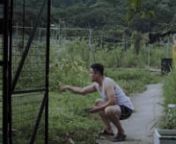 2018｜Hong Kong｜30min｜ColournnFour farmer-cum-robbers live together in a dilapidated house with a withered field. They discover a human finger inside a newly-harvested tomato one day. The gang leader decides to freeze it in the hope of selling it for a good price. Someone tells a story about a finger in a pub, so implausible that the listeners can hardly believe it. There are no fingers inside the other tomatoes and the gang remains poor. Tensions mount as the gang leader suspects a young m