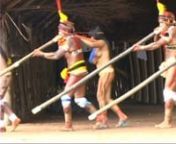 Young men play ceremonial flutes, accompanied by female dancers. The ceremony was recorded in the Wauja village of Piyulaga, an indigenous community of Arawak-speakers located in the Xingu Indigenous Park in Northern Mato Grosso, Brazil. The Wauja live mainly by fishing and horticulture. They currently have three communities, located in the Amazonian rainforest, on the Batovi and von den Steinen rivers. Raw footage provided by anthropologist and filmmaker Marcelo Fortaleza Flores.
