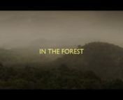 This video is made by an inspiration from James Griffiths : We were wanderers on a Prehistoric EarthnnPreface: The forests are disappearing slowly, there is already visible changes seen. This is a visual short to remind us how serene a forest ambiance is.nnAbout the video:nAll visuals were filmed in the Western Ghats and the Nilgiris, across Karnataka, Kerala and Tamil Nadu states in the Southern parts of India.nnLet&#39;s save the WOODS ... TOGETHER!nnCamera: Canon 5D Mark II, 7D, 550DnMusic: The S