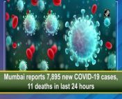 Mumbai reported 7,895 new cases of Covid-19 on Sunday, taking the total caseload to 999,862, while eleven lost their lives due to the virus . The death toll has now gone up to 16,457. The city has 60,371 active cases and 21,025 people recovered from the infection in the last 24 hours. It said 688 people were hospitalised on January 16. There are a total of 38,127 beds in Mumbai. The current bed occupancy rate is 15 per cent. A total of 57,534 samples were tested during the last 24 hours.