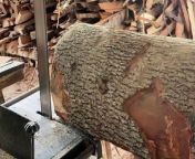 Enhanced Craftsmanship Mastering the Sawmill for Amazing Woodworking! from free full download woodwork for inventor v5 6 rar crack serial keygen torrent h