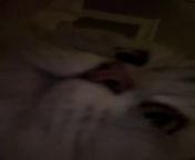 ASMR Cat Purring Close Up from 왁싱샵 asmr