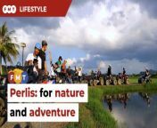 Perlis is a paradise for those seeking an escape from city life and for thrilling adventures.&#60;br/&#62;&#60;br/&#62;Read More: &#60;br/&#62;https://www.freemalaysiatoday.com/category/leisure/2024/02/28/4-top-experiences-in-perlis-for-nature-lovers-and-thrill-seekers/&#60;br/&#62;&#60;br/&#62;Free Malaysia Today is an independent, bi-lingual news portal with a focus on Malaysian current affairs.&#60;br/&#62;&#60;br/&#62;Subscribe to our channel - http://bit.ly/2Qo08ry&#60;br/&#62;------------------------------------------------------------------------------------------------------------------------------------------------------&#60;br/&#62;Check us out at https://www.freemalaysiatoday.com&#60;br/&#62;Follow FMT on Facebook: http://bit.ly/2Rn6xEV&#60;br/&#62;Follow FMT on Dailymotion: https://bit.ly/2WGITHM&#60;br/&#62;Follow FMT on Twitter: http://bit.ly/2OCwH8a &#60;br/&#62;Follow FMT on Instagram: https://bit.ly/2OKJbc6&#60;br/&#62;Follow FMT on TikTok : https://bit.ly/3cpbWKK&#60;br/&#62;Follow FMT Telegram - https://bit.ly/2VUfOrv&#60;br/&#62;Follow FMT LinkedIn - https://bit.ly/3B1e8lN&#60;br/&#62;Follow FMT Lifestyle on Instagram: https://bit.ly/39dBDbe&#60;br/&#62;------------------------------------------------------------------------------------------------------------------------------------------------------&#60;br/&#62;Download FMT News App:&#60;br/&#62;Google Play – http://bit.ly/2YSuV46&#60;br/&#62;App Store – https://apple.co/2HNH7gZ&#60;br/&#62;Huawei AppGallery - https://bit.ly/2D2OpNP&#60;br/&#62;&#60;br/&#62;#FMTLifestyle #Perlis #Nature #Adventure #TourismMalaysia