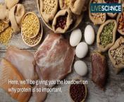 Wondering if you need to eat meat to get protein into your diet? Discover alternative sources of protein, from plant-based to powder supplements.
