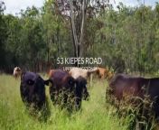 Whopeminn presents as 149 hectares of picturesque escarpment living with a highly productive grazing asset.