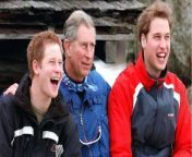 Prince William and Prince Harry with both attend Diana Legacy Awards from bokep sd diana