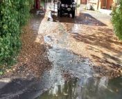 A TasWater employee assesses a water leak on Elphin Road in Launceston in early 2022. Geoff and Jackie Brayford claim the 24-day leak caused their home to crack. Video supplied