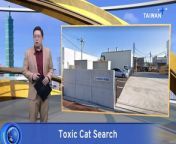 Residents in a city in west Japan are being warned to stay away from a cat that fell into a vat of poisonous chemicals.
