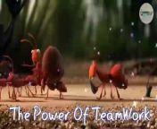 Teamwork and Leadership _ Animated short clip _ Creative 360 _ #teamwork #leadership #motivation #comedy #fun #comedyvideo