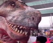 T-REX IN REAL LIFE from amavidewophsto pthan rex com