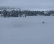 This person attempted a jump trick with their snowmobile. They lost their balance and fell out of it after losing their equillibrium, hilariously faceplanting into the snow.&#60;br/&#62;&#60;br/&#62;*The underlying music rights are not available for license. For use of the video with the track(s) contained therein, please contact the music publisher(s) or relevant rightsholder(s).”